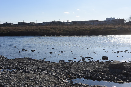DSC 4599