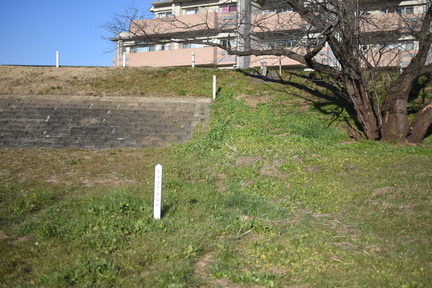 DSC 4620