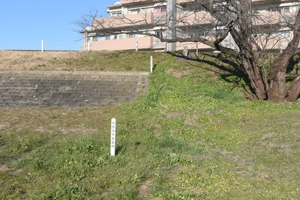 DSC 4621