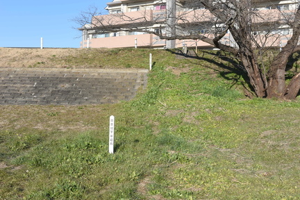 DSC 4622