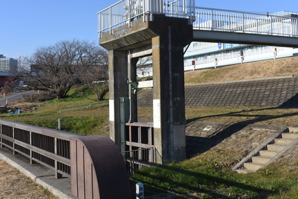 DSC 4623