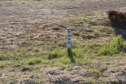 DSC 4624