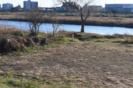 DSC 4625